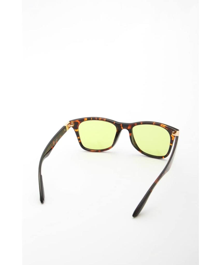 Coleman sunglasses CTL09-2