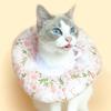 Haustier Katze E-Kragen Erholungskegel Schutz Elizabeth-Kragen Verstellbarer Baumwollmischkragen Bedruckter Elizabeth-Kreis für Katze
