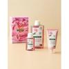 Free Klorane Peony Shampoo 400ml + Scalp Pack 150ml + Shampoo 100ml  25  Off Compared To The Original Product 