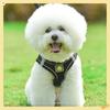 Reflective Pet Leash Harness & Leash Set For Puppy & Kitten, No Pull Dog Vest Harness With Breathable Mesh