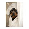 Cute Shower Dog Bathroom Decor Poster Dog in Bathtub Print Animal Murals Canvas  for Home Decor Dog Lover Gifts