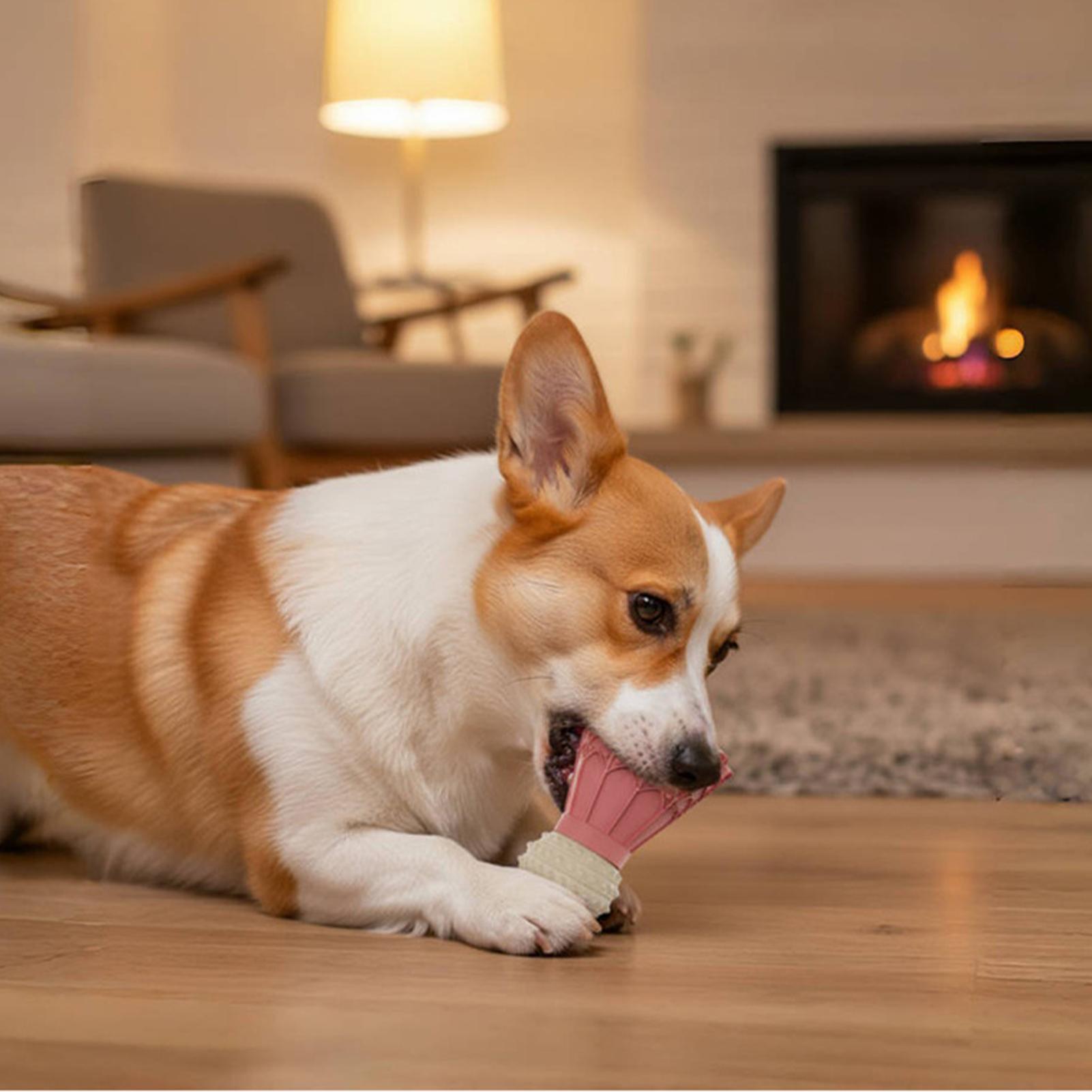 Dog Food Dispenser Toy Badminton Shape Fun Bouncing Feeder With Bell Puppy Chew Toys For Travel Pool Park Yard Bedroom Garden China Mainland