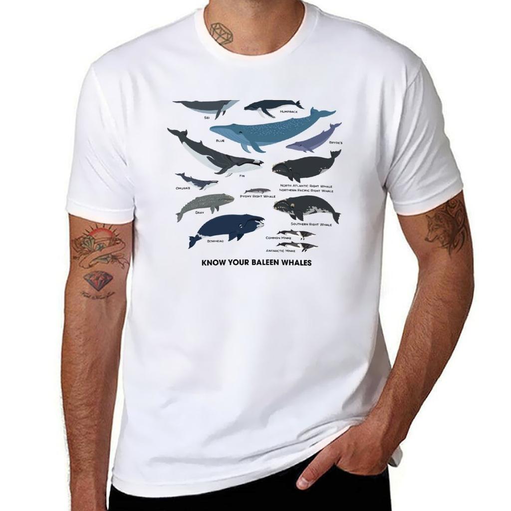 Know Your Baleen Whales Tshirt Daily Wear Plain Short Sleeve Shirt