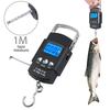 Bilance Digitali Bilancia per Bagagli Carico 50kg-10g LCD Mini Protabile Tascabile Bilancia da Pesca Elettronica da Appendere da Viaggio Tascabile Bilancia per Bagagli Strumento per Pesi