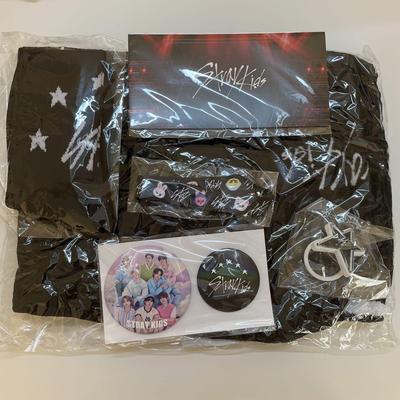 [GEBRAUCHT] Stray Kids 5star Dome Tour Aufgewertete Artikel