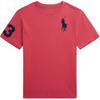 Üst giysisi – T-shirtler
