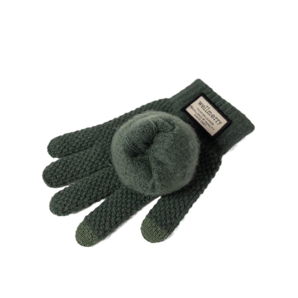 New Autumn and Winter Thickened Gloves Korean Style Cold-proof Cycling Touch Screen Warm Wool Knitted Gloves