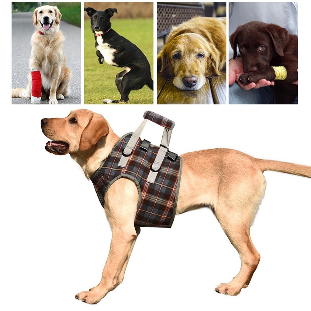 Soft Fabric Dog Leg Support Harness Multi Sizes Disabled Dog Mobility Strap Arthritic Old Dog Walk