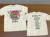 Maglietta da Concerto Vintage 1995 Silverchair Frogstomp Tour
