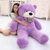 1.6M Panda Big Bear Plush Toy - Perfect Birthday Gift for Girls