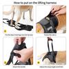 Adjustable Dog Lift Harness for Large Dogs Soft Padded Pet Rear Leg Support for Old Disabled Joint Injuries Dog Back Leg Hold