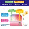 HADA LABO Skincare Tone-Up Lotion 170ml with Bonus | Skincare Vitamin C Acid Spots