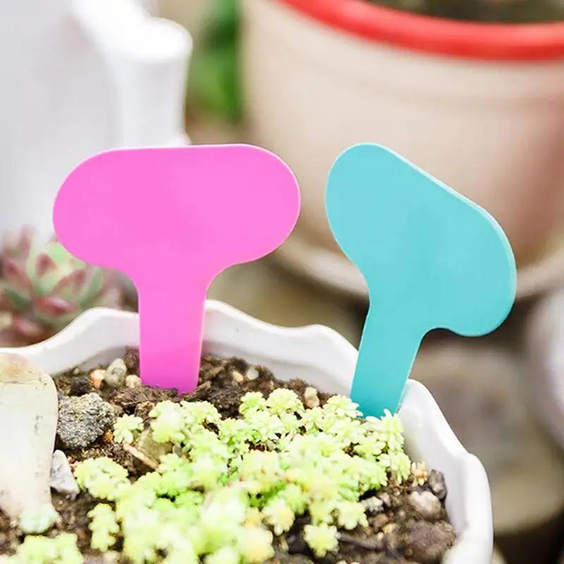 100pcs Gardern Labels for Plants,T Type Plant Labels,Plant Labels,Garden Labels Plastic,Garden Tags for Succulents Label
