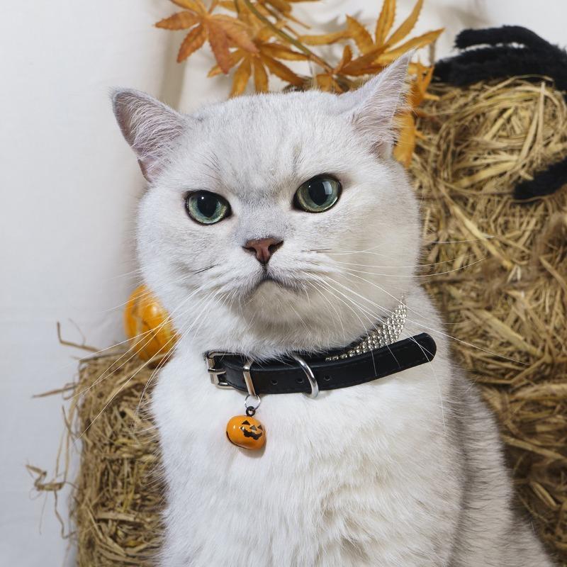 Halloween Adjustable Pet Collar For Cats And Dogs With Pumpkin Bell Sparkling Rhinestone Cute Decorative Puppy Kitten Necklace