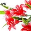 DYS Home Decor Potted Plant Artificial Plastic Simulation Flowers Photo Props Home Decor