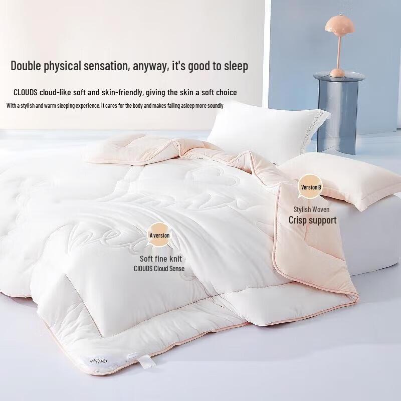 

Mercury Home Textiles Class A Soy Fiber Winter Quilt