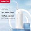 Sharp Portable Electric Water Flosser & Toothbrush Set