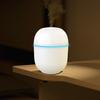 200ml Portable Humidifier Nano-atomization 2 Gear Small Portable Alcohol Humidifier USB Mist Purifier Diffuser