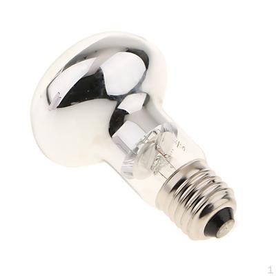 Reptile Vivarium Heating Light Brooder Lamp Bulb Nightlight E27,