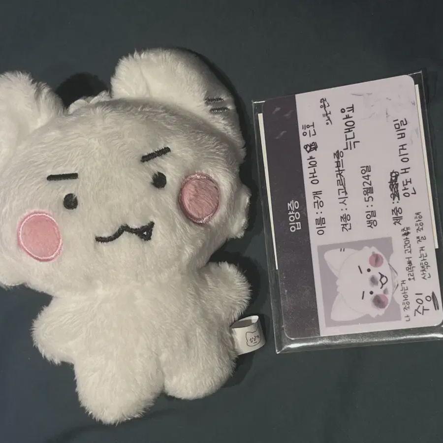 Amhyanggae Plave Unofficial Goods Attribute Doll Malang Purve 10cm Eunho Sell