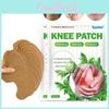 Joint Pcs Pain 12 Knee Plaster Wormwood Extract Sticker For Joint Ache Pain Relief Patch