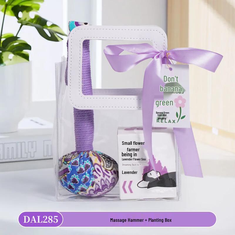 Aiqi Easy Pick A1 Refreshing Summer Gift Set DAL285 Massage Hammer + Planting Box