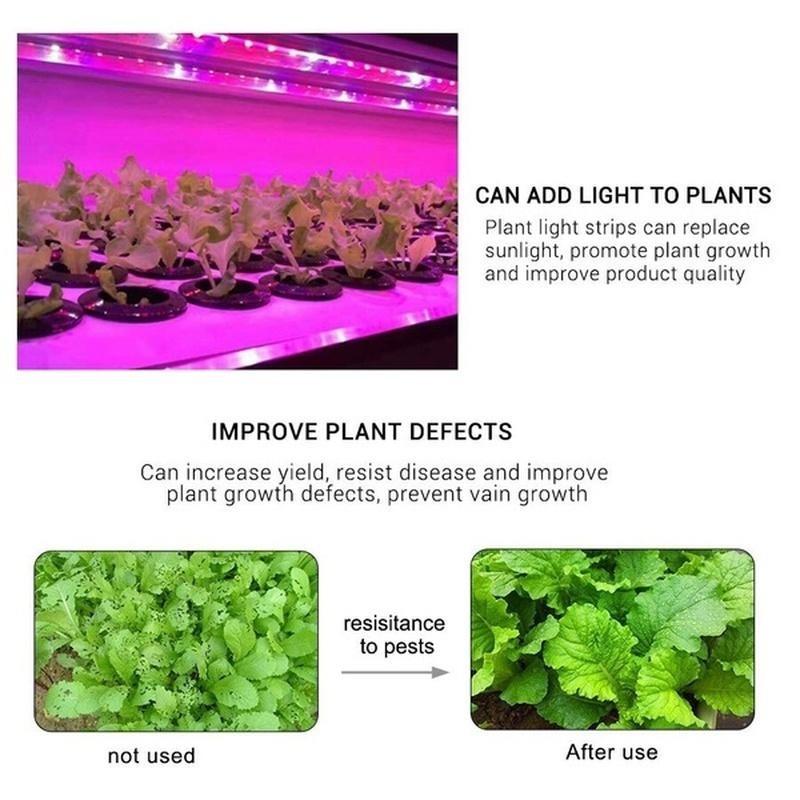 1M/2M/3M/4M/5M Pflanzenlicht Grow LED-Streifen 5V USB LED 1-5m Vollspektrum Wasserdichter LED-Chip für Gewächshaus Blume Setzling Grow Box Hydroponik