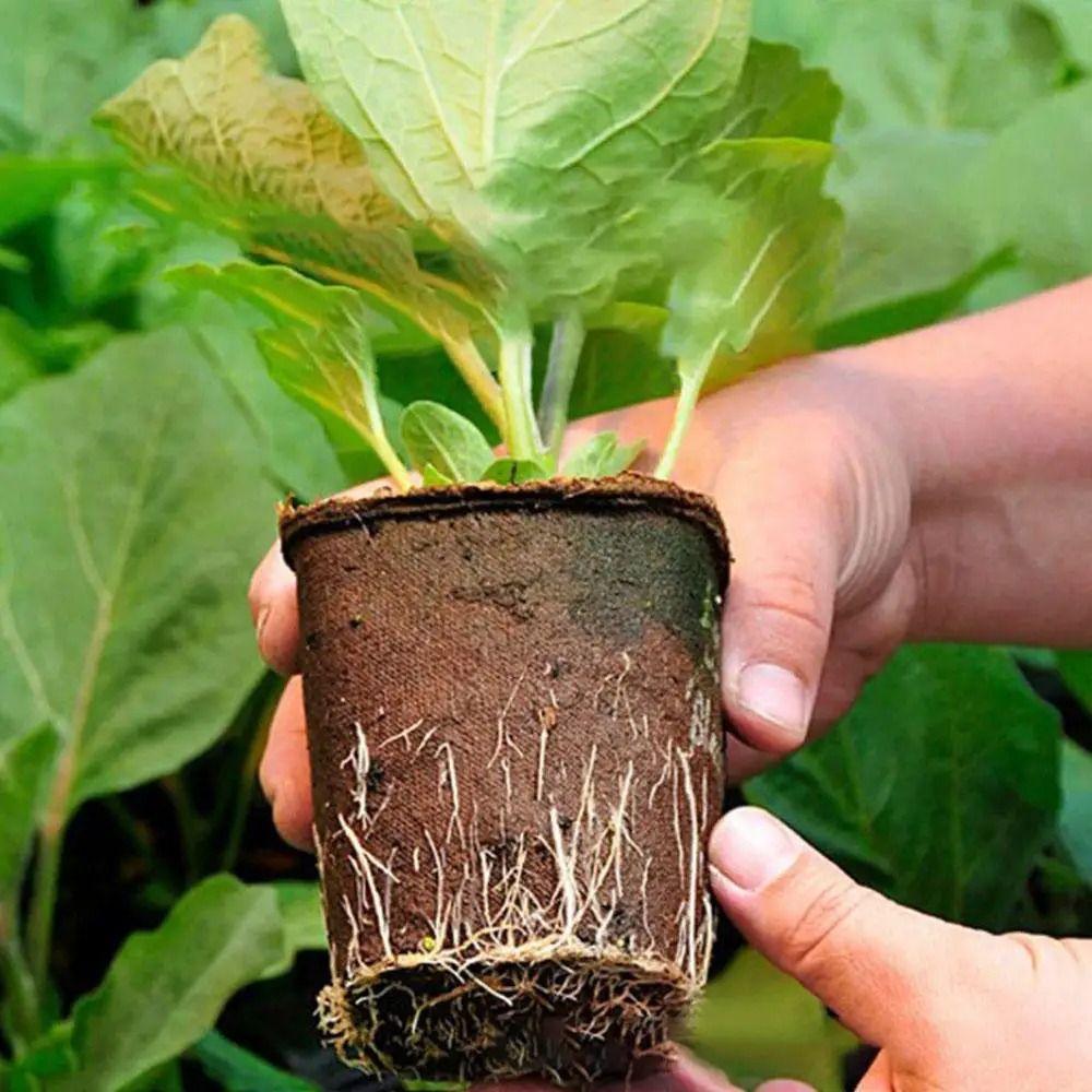 10Pcs Seed Tray Planting Seed Nursery Cup Environmental Protection Round Peat Pot