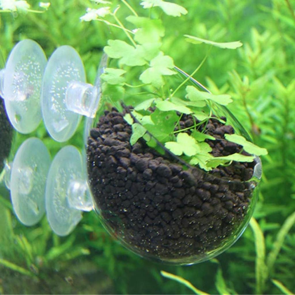 Aquarium Decoration Plant Cup Pot Glass Aquatic Plant Cup With Suction Holder Planting Cylinder Cup Aquarium Accessories