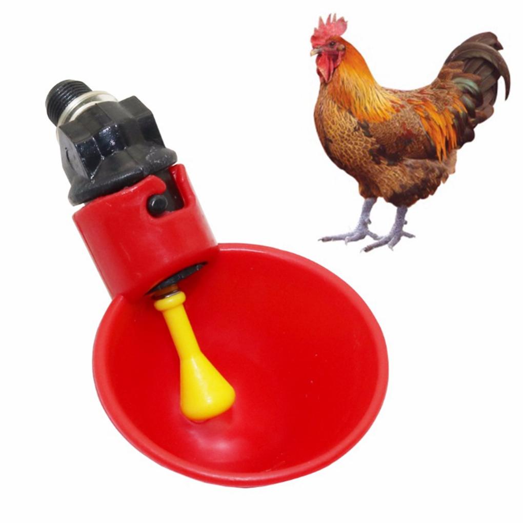5pcs Automatic Water Feeder Poultry Drinker Drinking Cups For Chicken/Bird