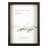A.P.J. Art Box Frame (Height: 35mm) A3 Size (297 X 420mm) Oak