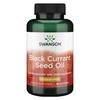 Black Currant Seed Oil, 500mg - 180 Softgels