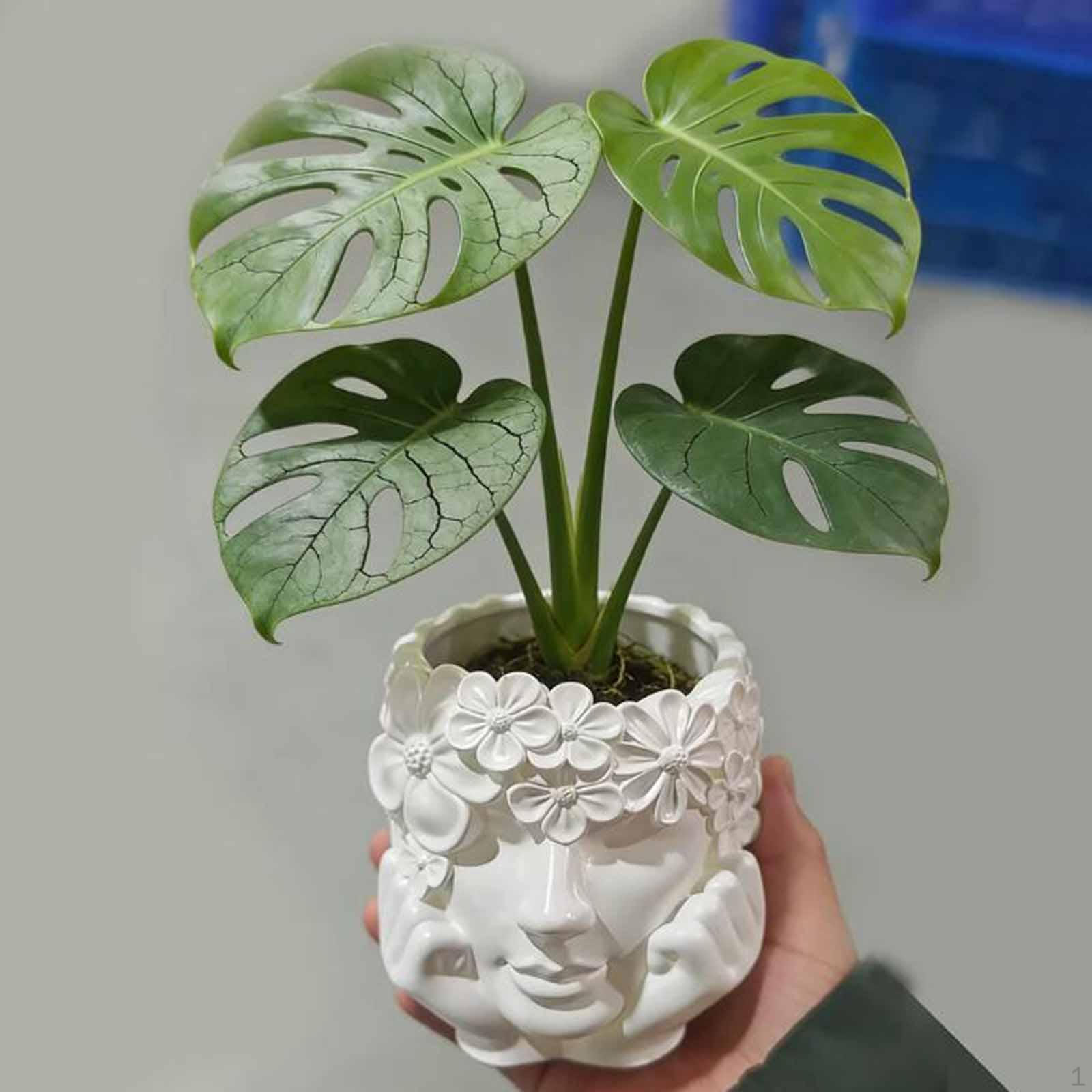 

Face Shaped Makeup Brush Holder,Desk Organizer Reusable Flower Pot Pen Pencil Holder for Tools