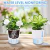 10 Pcs Self Watering Planter Lazy Hydroponic Flower Pot Plastic Translucent Self-absorbent Flower Pot Desktop Decoration