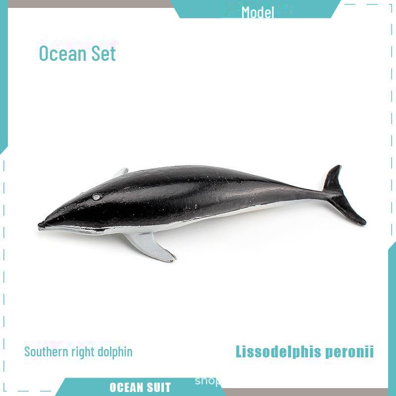 Marine Animal Model Set: Shark, Turtle, Dolphin, Whale, Penguin, Crab, and Seabed Creatures