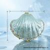 Conch Shell Electroplated Jewelry: Handmade DIY Necklace, Pendant, Bracelet, Earrings, Charms Accessories