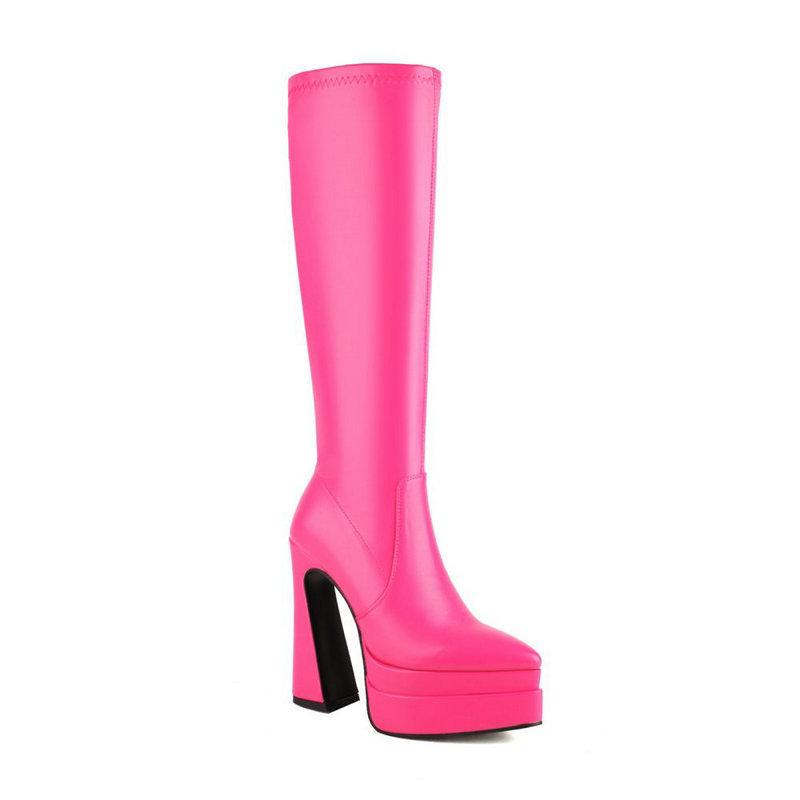 Women's high boots autumn and winter new pointed thick heel super high heel double waterproof table but knee boots side zipper women