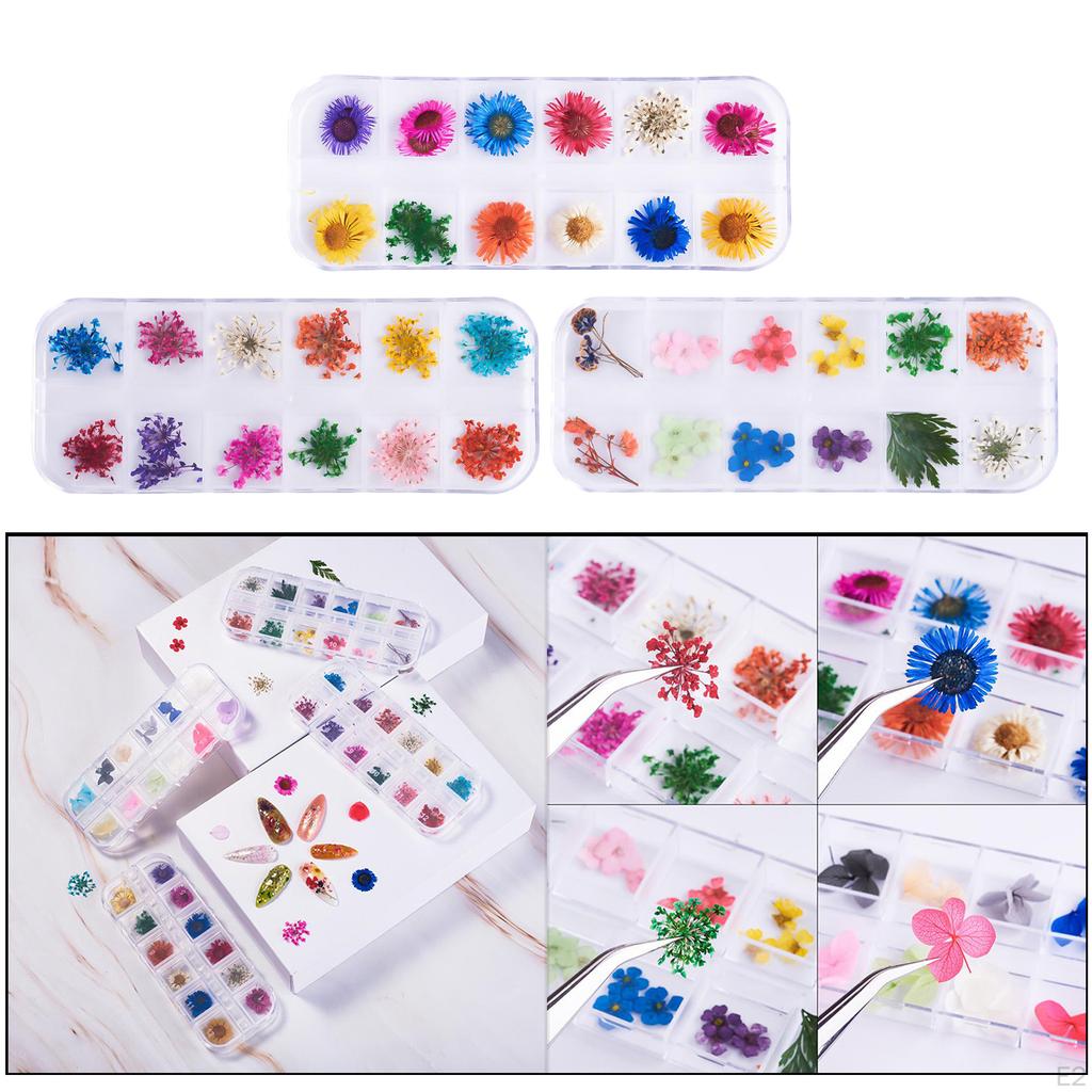 12 Dried Flowers 3D Sticker for Tips Manicure Decor