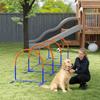 Four-Piece Portable Dog Agility Equipment - Blue