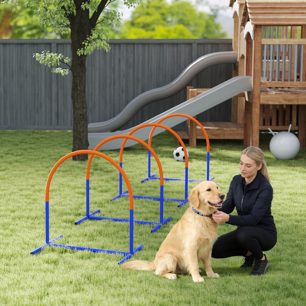 Four-Piece Portable Dog Agility Equipment - Blue