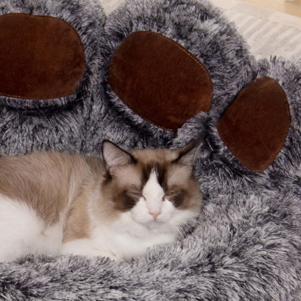 Bear Paw Shape Cat Bed Antislip Dog Furry Plush Bed Small Kitten Soft Sofa Bed Cushion Bedding for Puppy Pet Supplies