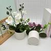 Accessories Simulation Bonsai Plastic Fake Plant Flower Potted  Home Office Decoration