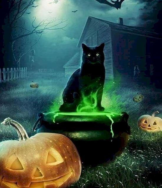 RUOPOTY Painting By Number Cat Animals DIY Frame Acrylic Handpainted Drawing On Canvas Autumn Pumpkin Gift Home Decoration