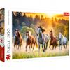26215 "1500 - Wild Horses_FSC
