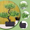 Artificial Bonsai Ornament, Realistic Faux Potted Plant, Plant for Office, Tabletop, Home
