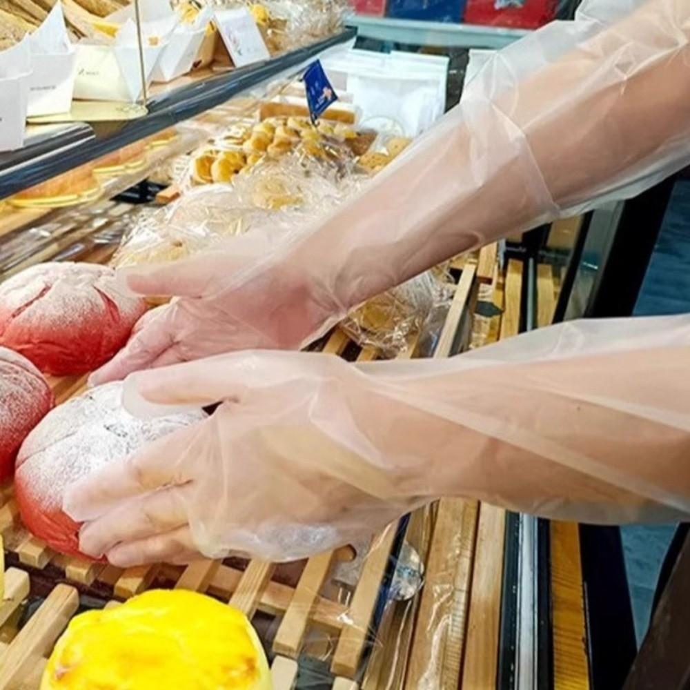 50PCS Waterproof Dishwashing Gloves Long Cuff Extended Gloves Cleaning Gloves  Gardening