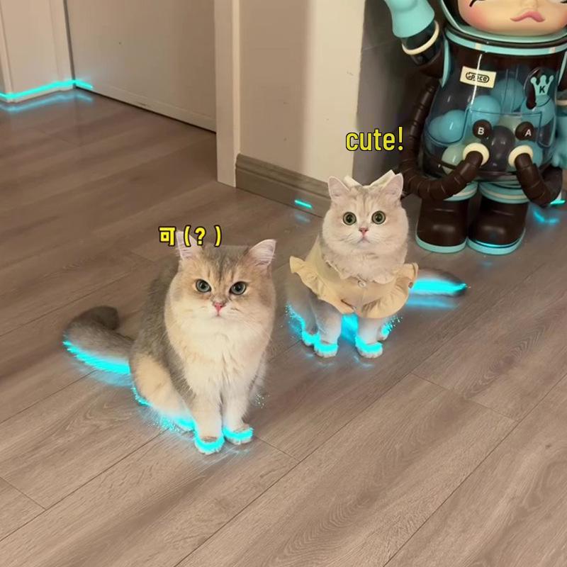 Pet Luminous Shoes, Whistle Night Light, and Photography Accessories for Cats and Dogs