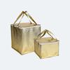 Insulated Non-Woven Tote for Ice Cream Cake - Aluminum Foil Lined, Fresh-Keeping, for Picnic or Takeaway