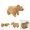 Capybara Plush Toy Soft And Cute Stuffed Animal For Kids And Adults