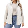 New Women's Stand Collar Quilted Padded Vest, Sleeveless Zipper Short Cotton Waistcoat, Fall Winter Outerwear